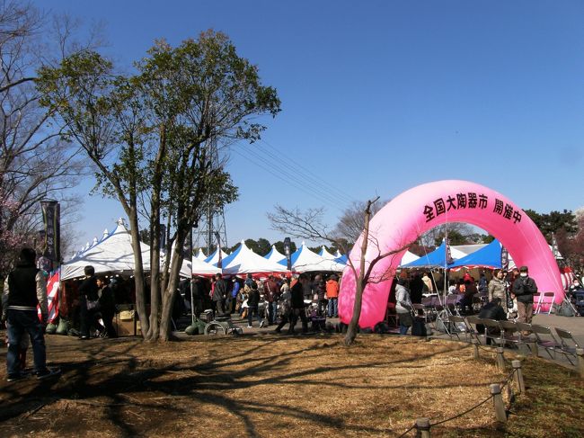 天気予報で３月２日は、まずまずのお天気を確認して、かねてから大宮第二公園の梅園が見頃で、おまけに、この時期、全国陶器市が開設されていると聞いていたので出掛けてみました。<br /><br />まだ、時間が早いので梅園で梅を観賞し、全国陶器市は時間が早く、開かれていないので、遊水地をウォーキングで楽しんで、その後、全国陶器市へ入場しました・・・