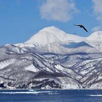 冬の道東・流氷・温泉・ロコスキー場めぐりの旅　羅臼町民スキー場跡地～流氷バードウォッチング～知床食堂～標津金山スキー場～秘湯越川温泉～斜里ウナベツスキー場～知床博物館～斜里温泉湯元館～緑清荘～ロッジ風景画編