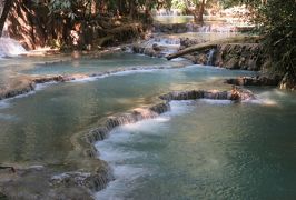 2019早春、ベトナムとラオスの旅(13/28)：2月14日(6)：ルアンパバーン(10)：クアンシーの滝、エメラルドグリーンの水、滝壺プール