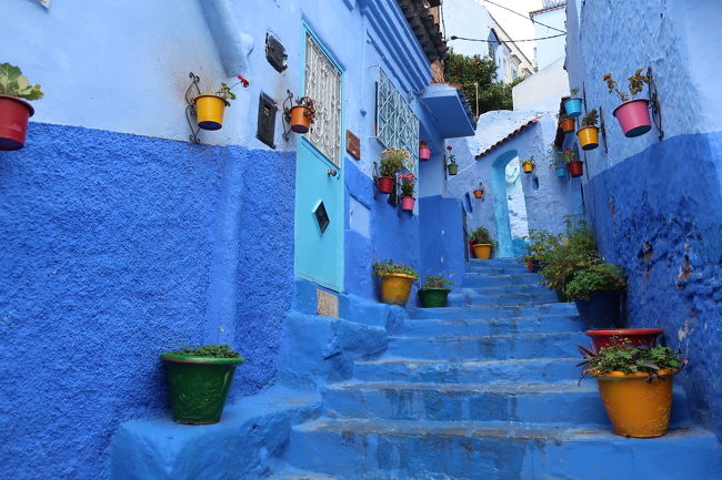 魅惑の迷宮 モロッコ１２日間 ④青いシャウエン、白いテトゥアン