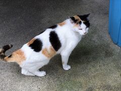 おともdeマイル割引で行く八重山旅行記1　グランヴィラククル石垣島　スカイククル宿泊記(ブログ)