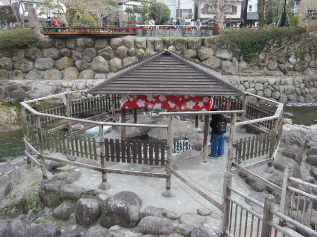 伊豆半島・中伊豆の修善寺と伊豆長岡周辺の観光をしました、最初に多くの観光客がいる葛城山（標高452.8m）山麓に行きました、ハイキングコース沿いの休憩スポットである城山林道の「林道峠」まで行きました、林道上から周辺の眺めを楽しんだ後、狩野川沿いのロッククライミングで知られている城山（342.3m）登山口付近に、続いて狩野川の東側にある大きな道の駅「道の駅伊豆のへそ」に、敷地内に河津桜が咲いていました、道の駅を見たとは修善寺温泉に行きました。<br /><br />修善寺温泉街の修禅寺や北又川の河原にある独鈷の湯を見たり街の一部を散策してからから伊豆長岡温泉の温泉街を通って北條義時の墓がある「北條寺」へ、境内をちょっとだけ見てから守山の麓にある「願成就院」と隣にある「守山八幡神社」に行きました。<br /><br />日曜日でしたので修善寺付近の道路は渋滞していました。