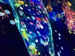 子供連れ（11カ月、5歳）お台場チームラボボーダレスで遊び倒す旅