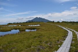 今年の尾瀬はアヤメ平！のんびり天空の湿原散歩