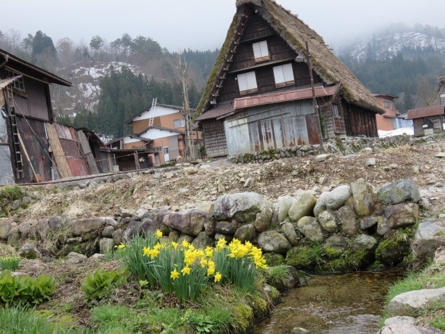 白川郷の合掌造りでもっともにぎわう荻町集落を訪れます。庄川にかかるであい橋を渡って荻町集落へ。合掌造りの中には内部が見学出る建物もあって中に入ってみます。それにしても観光客の多いこと。特に海外からの観光客が目立ちました。