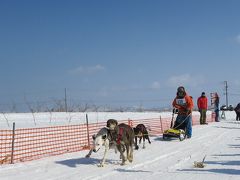  2019　お迎えバス「タロ・ジロ号」で行く 《らくらく冬の稚内》 ジロ号編 