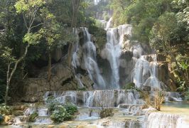 2019早春、ベトナムとラオスの旅(14/28)：2月14日(7)：ルアンパバーン(11)：クアンシーの滝、滝壺プール、トラバーチンの光景