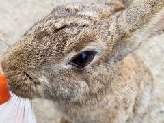 日本三景をめぐる旅 広島編 2泊3日 ③