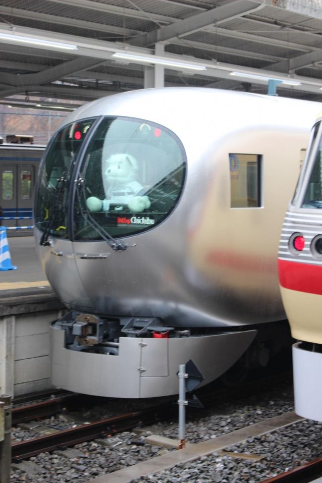 秩父LOVEなので秩父まで行く西武鉄道の新型特急の試乗会があると聞けば<br />行ってみたくなっちゃうわけ。<br />雨の日に西武球場前駅に行って特急の試乗会に行っただけの旅行記にならない記事です。<br />今度は大好きな秩父に行く時にLaviewに乗れたらいいなあと思っています。