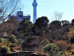 ２０１９／早春の向島百花園探訪記　その２