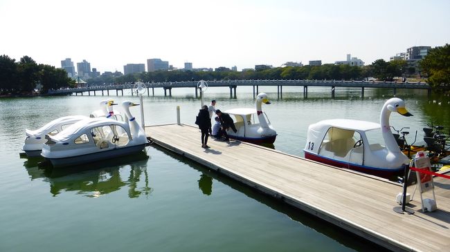 天気次第では何処かに泊りで行きたいと思って、事前連休を取っており、その行き先候補として、看板猫ちゃんがいる別府鉄輪温泉の旅館(かんなわ ゆの香)に行こうと思い、予約も取っていたのですが、1月に国内旅行に3回行った事、今月パスポートの更新がある事もあり、予算的に厳しく、泣く泣く別府旅行を中止してしまいました。<br /><br />かんなわ ゆの香公式サイト:http://www.kannawa-yunoka.com/<br /><br />看板猫ちゃんは、楽天トラベルサイトに紹介されています:https://travel.rakuten.co.jp/HOTEL/70732/70732.html<br /><br />別府旅行は中止にしましたが、その代り、天気が良く春の陽気だった為、福岡プチ散策に出掛ける事にしました。<br /><br /><br />9年間福岡市内に住んでいたにも関わらず、初めて行った〔大濠公園〕を少し散策した時の様子です。<br /><br />大濠公園公式サイト:https://www.ohorikouen.jp/