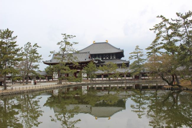 奈良2日目<br /><br />曇り一時雨<br /><br /><br />7時半ホテルチックアウト<br /><br />興福寺から東大寺へ<br /><br />時間をかけゆっくりまわりました。<br /><br />興福寺の国宝館<br /><br />東大寺の三月堂、戒壇堂、<br /><br />東大寺ミュージアム、大仏殿など、<br /><br />沢山の仏像に感動しました。<br /><br /><br /><br />
