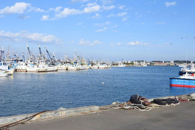 　銚子漁港でバードウォッチング[2017](3)前編の続編です。<br />引き続き、銚子漁港でバードウォッチングを楽しみました。<br /><br />表紙写真は、銚子漁港の風景です。
