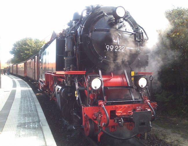 4日目。ゴスラーから列車でヴェル二ケローデへ。<br />　↑ハルツ狭軌鉄道。蒸気機関車でヴェル二ケローデからブロッケン山へ行くのだ。わくわく。