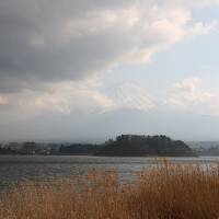 伊豆半島の花めぐりの旅５（富士山編）