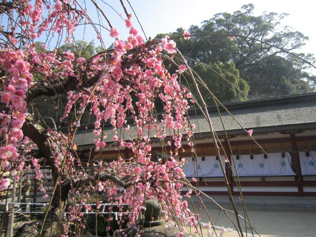 久しぶりに昔過ごした街、福岡を訪れました。<br />街並みはすっかり変わり、多くの海外の観光客であふれ、戸惑う事が多かったですが、地元の方の福岡弁を聞くとなんだかホットします。<br />今回の旅行では、お金がない時期に食べていたB級グルメの味を確認していく旅となりました。