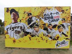 2019年2月　プロ野球沖縄キャンプ　今回は３球団見学出来ました！　1日目