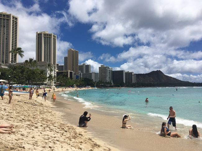 5日間の旅<br />訪れた場所: ホノルル美術館、ワイキキビーチ、カイルアビーチ、モアナルアガーデンズ、アラモアナセンター