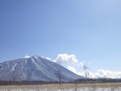 ふだん着の休日　突然バスを降りるって？でも歩けてけっこうでした！　2