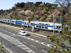 2019春の青春18きっぷ②　水戸の梅まつり