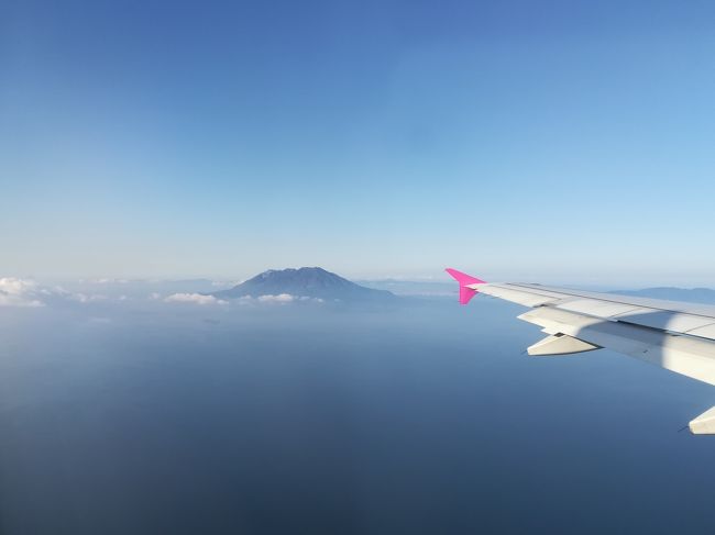 今回の旅の目的は、<br />前に行って大変気に入った温泉にのんびり浸かること<br />前に行けなかった武家屋敷カフェに行くこと<br />です。<br /><br />以前に友人達と訪れた温泉がとても気に入って、<br />今度来るときはこの温泉メインでゆ~っくり1日中入っていたいな~と思ったもので<br />平日にPeachの航空券が片道3千円で取れたので1日だけ有給休暇を取って日帰りで鹿児島に行ってきました!<br />日帰りなのでレンタカーもお手頃なお値段で借りられました。<br /><br />温泉入って<br />ランチに焼肉食べて<br />温泉入って<br />テレビで見た武家屋敷カフェ行って<br />ラーメン食べて<br />硫黄の香りつけて帰ってきました。<br /><br />