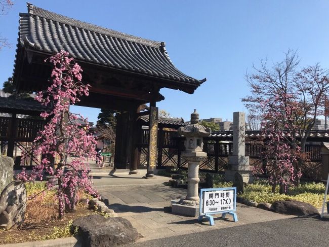 駅からハイキングで上尾プチ散策2019