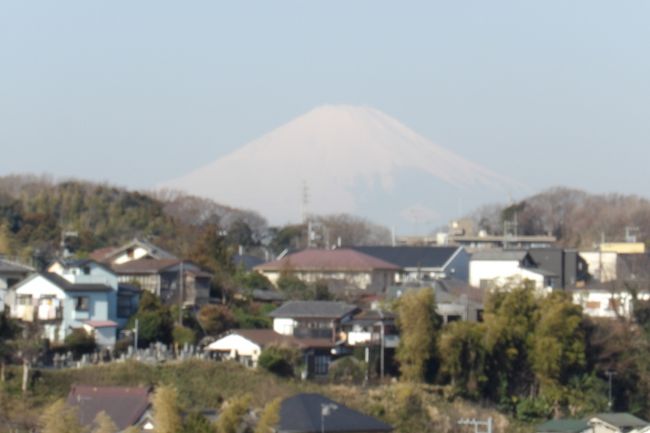 　昨日は本当に綺麗だった富士山の写真を取り損ねてしまった（https://4travel.jp/travelogue/11466347）。実は、平成29年（2017年）秋にも手ブレでここから見た富士山の写真を撮り損ねていた（https://4travel.jp/travelogue/11294003）のだ。さすがに2度目ではとも思い、また、再び雪を被った富士山の姿を一応写真に残しておくべきであると考え、今朝も雲頂庵に向かった。<br />　JR北鎌倉駅の臨時改札口から出て、参道を通り、石段を上ると、さすがに1分は回っていたが、2分までには時計の針は相当残っている。切り上げて「改札抜けたら2分で富士山」ということになる。<br />　昨日は雨上がりで、大気の塵が落ちていて、富士山がくっきりと見え、綺麗であったが、昨日のうちにまたスモッグが西の空に広がり灰色掛かっている。昨日の富士山の姿とは比べようもないのだが、富士山の左側の斜面も白い雪で覆われており、この富士山の姿、上が全面的に雪に覆われた冠雪状態は今年になって初めてのことである。<br />（表紙写真は雲頂庵前から見える富士山）