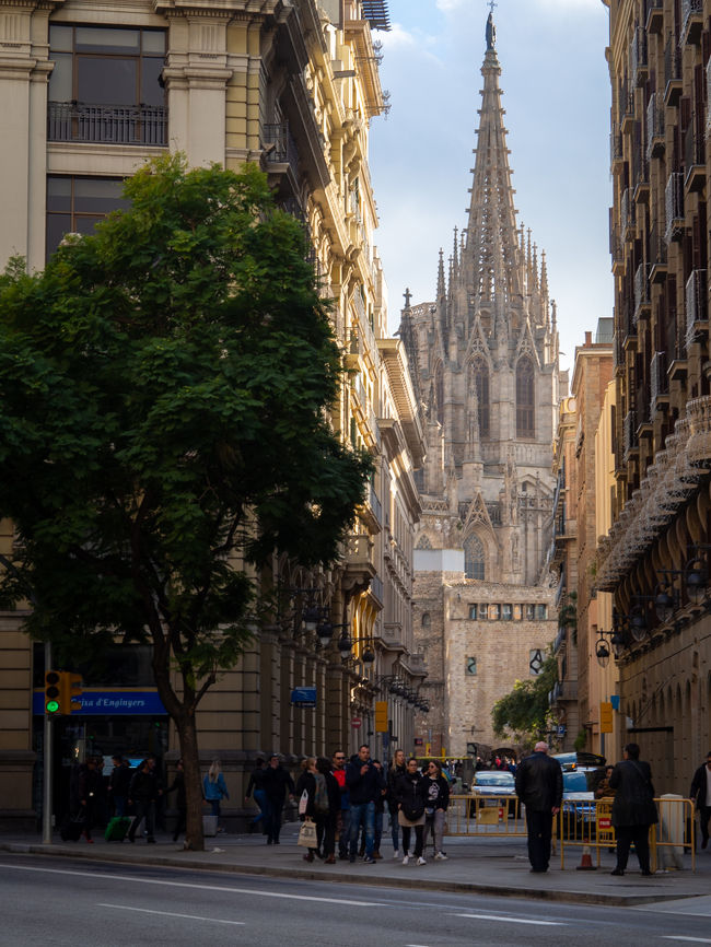 年末海外スペイン旅　本稼働3日目。<br /><br />バルセロナ市内からのショートトリップで<br />モンセラットへ行き、お昼を食べようと<br />レストランに入ると、元旦のシフトのためか<br />フロント対応はスタッフさんひとり。<br />そこへ昼食難民の観光客が<br />長ーーーい列を作っている。<br /><br />気の遠くなるほどの行列に並ぶ時間が<br />もったいなく、市内へ戻ることに。<br /><br />そのあとの旧市街の街歩きで<br />新年を迎えた早朝の街が<br />水浸しになっていた理由が<br />わかったのでありました。<br /><br />---スケジュール---<br />　12/29土　成田→モスクワ乗継→バルセロナ<br />　12/30日　バルセロナ<br />　12/31月　バルセロナ<br />●01/01火　バルセロナ<br />　01/02水　バルセロナ→マドリード<br />　01/03木　トレド<br />　01/04金　マドリード→バルセロナ<br />　01/05土　モスクワ<br />　01/06日　成田