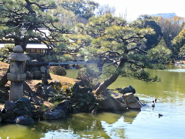 深川散歩道 清澄庭園へ遊びに行こう W 木場 東陽町 清澄 東京 の旅行記 ブログ By ヒサッチ クニさん フォートラベル