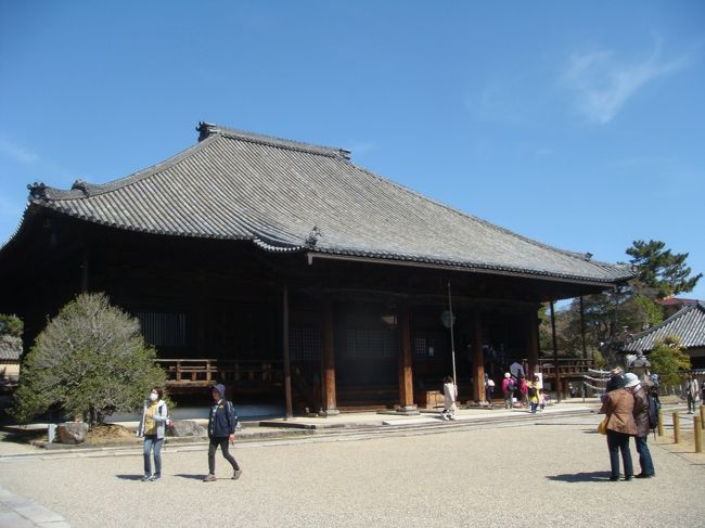 京都は賑やか奈良は閑散 こんな記事を読んだことがある。そうだ奈良に行こう!世界遺産、文化財の多い奈良は修学旅行と大学の卒業と別れに下宿先の方がヒルマンでドライブした二度だけである。60年もの歳月が過ぎていた。も一度奈良だ。<br />ネットでバスツアー日帰り「古都奈良の文化財を行く‼まほろばウオーク」が目にとまった。三回シリーズ構成である。<br />パートナーは都合悪く一人で申し込んだ。第一回は一月、香港A型もどきで参加出来ず。第二回の二月は帯状疱疹が前日に発症し断念。最終回の三月。青空のもとでウオーキングを楽しんだ。滞在時間は四時間弱。家族連れ、友人と、一人でと三々五々に地図を片手に道順を辿りながら歩くのも面白い。コースの紹介と距離に時間を記載する。<br />スタート:西大寺→喜光寺(1,2㎞・20分)→垂仁天皇陵(1㎞・15分)→唐招提寺(0,7㎞・10分)→城戸橋(1㎞・15分)→九条駅(1,3㎞・20分)→薬師寺(1㎞・15分)合計6,2㎞のウオーキングコースである。相席となったK氏とは車中での会話も弾み、定年後の過ごし方、月に二度は自慢のカレーライスを作り家庭サービス主夫の話。再度お会いした時には小生も得意となる料理を身に付けておきたいもの。楽しんだ一日中を過ごした。<br />