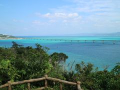 格安沖縄ツアー　蘭の花・今帰仁城跡・古宇利大橋と活くるまえび編