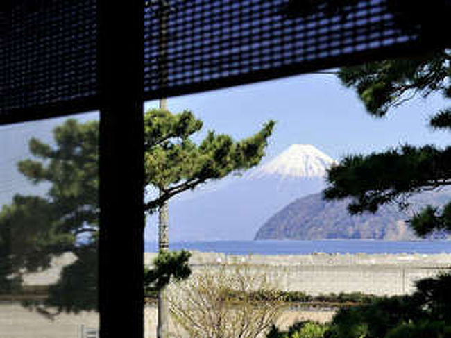 3月５日も沢山寄り道して（見学）さあ、いよいよ富士山が見える宿に向かいます。<br />先週（２月２５日）道路を走っていて、くっきり突然見えた富士山が・・・<br />道路から富士山が正面に見えるなんて・・・私達にとっての初伊豆半島で思いもかけない出来事でした。。<br />富士山見えるんだ～<br /><br />今日は・・・道路を走っていて姿を見せてくれません・・・<br />雨の間の、今日の晴れ間に旅館が空いていたので、宿泊取ったのに。。。<br /><br />帰りにも、初沼津港で夕食用のお弁当などをゲットして、楽しい老犬達とのドライブを無事終えました。<br />何時まで生きてくれるかは分かりませんが、一緒に旅がもう１度出来るかは・・・微妙です。（犬との旅行が出来るのは、今年の冬近くまでは無理ですから）<br />私達夫婦にとって、多分最後の犬達との旅行です（１０数年生きる犬を最後まで看てあげられる保証のない私はもう犬を飼えない）<br />心に焼き付けて自分の宝にしたいので、普通は普段の旅行は載せないのですが、頑張って載せました。<br /><br />表紙は旅館のHPから借りました、私達が泊まったお部屋からの絶景の富士山です。<br />