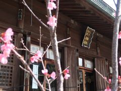 春を感じながらお散歩1/2、軽いパワスポ丸子神社浅間神社、乗運寺に。泊;ニューウェルサンピア沼津