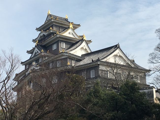 祖母の白寿のお祝いと、祖父の17回忌で岡山へ行ってきました。<br />今までは新幹線で行っておりましたが、調べたところ飛行機のほうが安くいけることが判明。初めて岡山へ飛行機で行くことにしました。偶然にも関東から行く親族全員が飛行機で行くということになり、空港からはレンタカーで異動しました。<br />途中別行動をし、後楽園と岡山城を見学。<br />なかなか行く事の出来ない岡山を満喫しました。