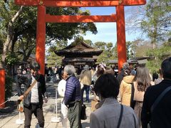 枝垂れ梅と苔の上の椿ー城南宮の春