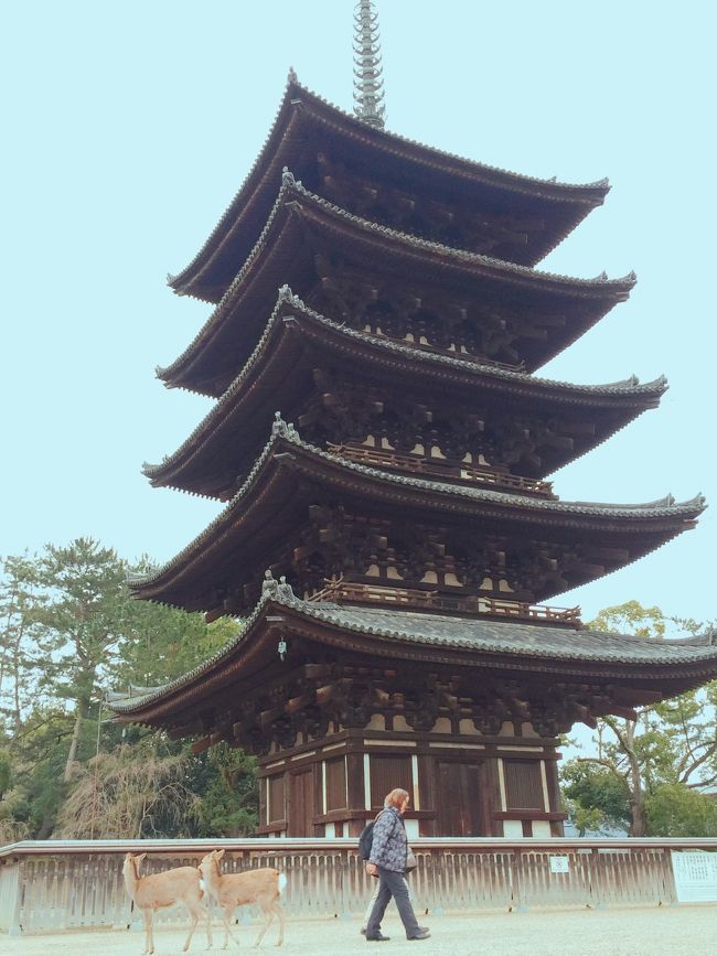 週末を利用して1泊2日で訪れた奈良県。　東京にいた頃は、奈良なんてちゃんとした&quot;旅行&quot;を計画しないと訪れる事の出来ない場所でしたけど、滋賀在住となった今、こんな感じで週末にチョロっと行けちゃう距離なんですね!　滋賀って便利じゃん♪　<br /><br />ちなみに、前回奈良市内を訪れたのは2012年9月なので、6年半ぶりの再訪になります。　その時のマニアック旅行記は↓<br />https://4travel.jp/travelogue/10711031<br /><br />前回かなり便利だった、スルッとKANSAIの、関西の私鉄乗り放題のチケットは今はもうありません。　まぁどちらにしても今回は車での移動なので関係ナイんだけどね。　<br /><br />2日目のこの日は朝からお天気に恵まれず、折りたたみ傘が手放せない日になってしまいましたが、6年半ぶりの奈良市内、そして初めて訪れる斑鳩の法隆寺など、なかなか充実した旅程でした。　奈良市内では色々な所で美味しいお店に出会う事も出来たので、グルメの旅としてまた奈良に遊びに来たいな!と思います。　