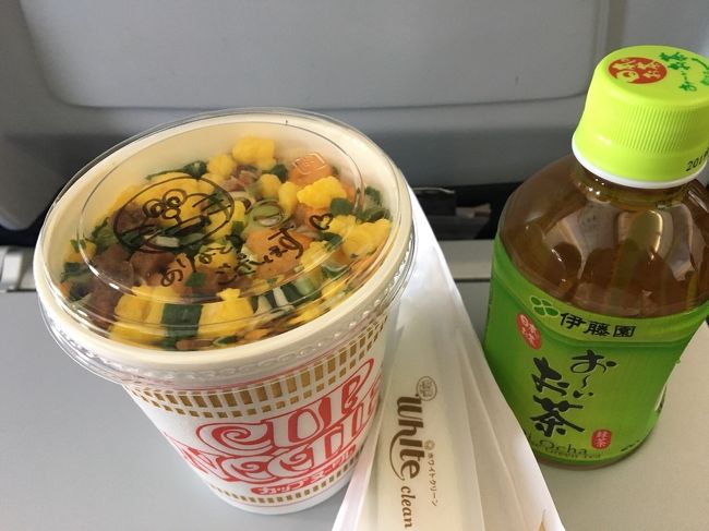 2018年7月19日から22日、3泊4日のセブ島旅行へいきましたー。<br />19日バニラエアでセブ島へ。映画や機内食サービスはありません。カップラーメンかいました。高いけどおいしい!<br />空港についたら、なんか新しいターミナルができたようで、東横インセブを予約していましたがちょっと迷いました。セブンイレブンの前からシャトルバスでてました。<br />東横インてことで安心していましたが、エレベーターは全くこない、なんと部屋にネズミ。対応もよくない。<br />1人3000円ほどで部屋は良いですがやはりフィリピンは怖い。<br /><br />20日<br />ボホール島へ。ベルトラから。ガイドさんも感じよく、メガネザルもみれてヒルズと写真もとって良い一日でした。<br /><br />21日<br />東横インと直結してるショッピングモールのマッサージ、1時間で500円ほどなので毎日利用しました。最高。<br />チェックアウトしてからプランテーションベイへ。<br />ネズミショックもあってからなのでここに連泊したら良かったと後悔。<br />イタリアンレストラン、フィリピン料理レストランをはしごし、最高な夜でした。<br /><br />23日<br />お部屋とプール満喫して空港へ。<br /><br />東横インで宿泊代は押さえたので航空券とホテルで五万程度。とはいえネズミショックを考えるとおススメできませんー、、<br />