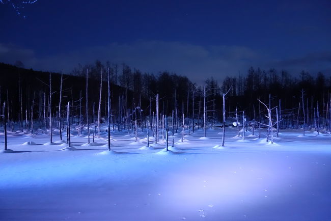 北海道ふっこう割を利用したANAパックで北海道へ行って来ました<br />出発前日にに震度5の地震もあり、移動手段や余震にかなり不安がありましたが、結果なんの問題もなし^_^<br />北海道、美味しくて楽しい旅行となりました！<br />1日目 小松空港ー新千歳空港ー小樽泊<br />2日目 小樽ー札幌ー観光バス/旭山動物園ー美瑛青い池ー札幌泊<br />3日目 札幌ー観光バス/さっぽろ市内早回り観光ー札幌観光ー観光バス/藻岩山札幌夜景ー大倉山でジンギスカンー札幌泊<br />4日目 札幌ー新千歳空港ー小松空港