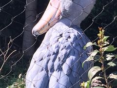 2019年3月　大人の遠足#38　上野　横山大観記念館＆上野動物園