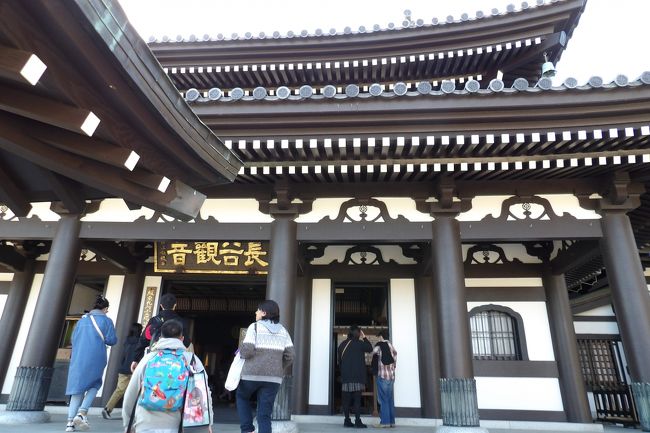 　鎌倉市長谷3にある長谷寺（https://4travel.jp/travelogue/10449109）は下段の平地に本堂があるが、山門は本堂の前を通り過ぎた場所に建っている。すなわち、寺務所と本堂は山門の外側に建っているのだ。<br />　山門の中は妙智池や放生池なのが配されているが、かつては伽藍が建っていたのだろう。しかし、近くの鎌倉大仏の大仏殿が流されるほどの大波があったとされ、山の中腹に伽藍を建設したものと考えられる。しかも、観音堂などは鉄筋コンクリート造である。観音堂に付随した観音ミュージアムが鉄筋コンクリート造であることは納得が行くが、長谷寺の中心伽藍が鉄筋コンクリート造であることはしっくりこない。北鎌倉にある円覚寺も本堂（仏殿）が鉄筋コンクリート造であるのでしっくりしないのだが、長谷寺ではその違和感が最大のお寺であろうか。<br />　そういえば、数年前に鐘楼をチタン瓦で葺いている。瓦の形にした薄いチタン瓦でも葺かれた屋根の上では普通の瓦と変わらないように見える。しかし、チタン瓦で葺いた屋根瓦に直に人が上がれるほどには強度はなかろう。そういう意味ではほんの数坪しかない鐘楼の屋根を葺いているのは納得できる。<br />　観音さまを参拝して観音ミュージアムで宝物を鑑賞した後は、屋外の休憩所にある見晴台から葉山マリーナの先の山を展望した。右の海側に頂きがあり、左の外れには瓢箪形の2つ並んだ頂きが見える。長柄桜山古墳の2つの墳丘だ。鎌倉市内には和田塚などが古墳の跡に築かれているが、鎌倉から見える場所、鎌倉を見下ろす場所には4世紀には90m程度の前方後円墳の古墳が少なくても2基も造られているのだ。<br />（表紙写真は長谷寺観音堂）