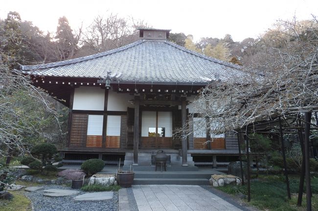 　鎌倉市長谷3にある光則寺（https://4travel.jp/travelogue/10485338）の山門前の枝垂れ桜や本堂前の海棠も気にはなるが、何と言ってももう一つの横穴墓（横穴古墳）を見てみたかった。<br />　大橋太郎通貞土牢（https://4travel.jp/travelogue/11467658）は確かに横穴墓（横穴古墳）である。大橋太郎通貞土牢と少し離れて並ぶ日朗上人土牢（https://4travel.jp/travelogue/11467660）についてはここでは割愛する。<br />　本堂は慶安3年（1650年）に再建されたものである。床は板張りのようだ。屋根の棟に上がる空気出しが壽福寺（https://4travel.jp/travelogue/11439733）の本堂（仏殿）と同じだ。ちなみに、壽福寺本堂（仏殿）は正徳4年（1714年）に建立されている。壽福寺本堂（仏殿）内部は石畳の土間だったようだが、近年になって板張りに変更されている。鎌倉では江戸前期～中期にはこのような屋根が流行ったのか？<br />　土曜日ということで由比ガ浜通りや大仏通り、長谷寺参道と境内（、勿論、今日は時間がなく、寄らなかったが当然、高徳院（鎌倉大仏）も）は多くの人出があり、混雑していた。しかし、参道を抜けて山門を潜ると光則寺の境内は静寂であり、ほんの2、3人しか見掛けなかった。観光地鎌倉を忘れさせてくれる寺である。<br />　なお、花の寺と呼ばれている光則寺では先に枝垂れ桜が、その後、桜の頃には海棠（https://4travel.jp/travelogue/10449205）が咲き、多くの人が訪れる。山門に続く参道にも桜並木（https://4travel.jp/travelogue/10559576）がある。<br />（表紙写真は光則寺本堂）<br />