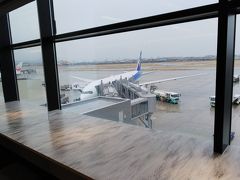 2019春旅。伊丹空港ANAスイートラウンジ体験