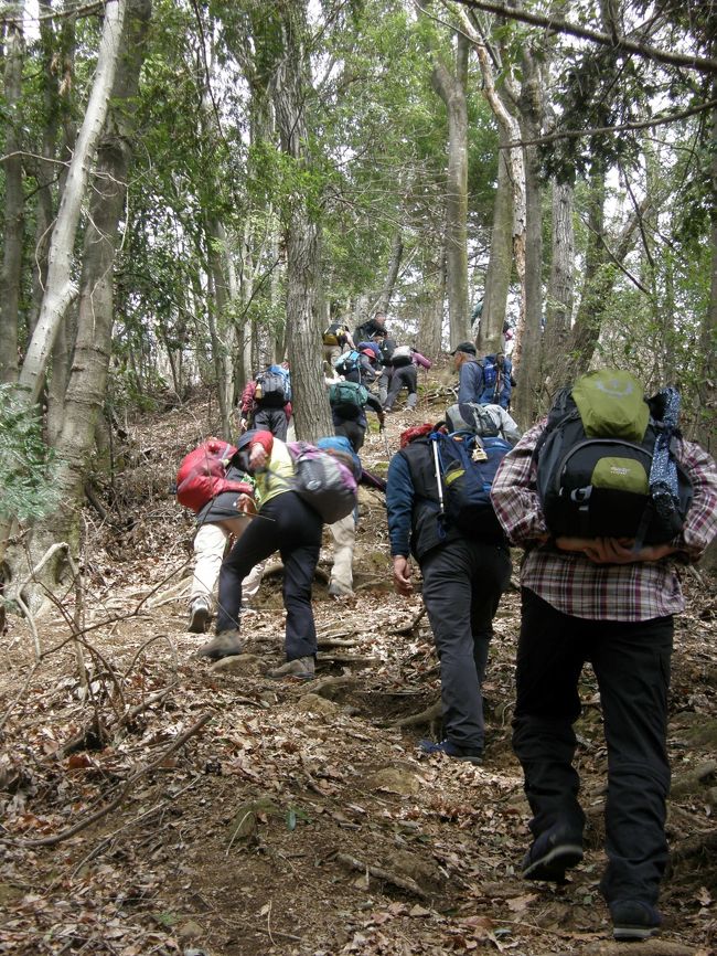 飯能アルプスは、一般的には、天覧山から伊豆ヶ岳へつづく稜線の山々、今日は、西武線吾野駅から飯能アルプスに入り、板屋の頭と呼ばれるピークを経て、子の権現まで至るルート。<br />標高は低いが、それなりにアップダウンがある。そして、登山ルートが解りにくく、道標も私設のものが多く解りにくいコースだった。<br />子の権現は、初めての人には威厳のある寺で興味深々でした。<br />帰りは、恒例の日帰り温泉で、本日は、武甲温泉です。