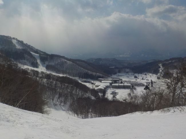 スキーの合間でハーヴェストの部屋の戻れるのがこのスキーの醍醐味。<br />午前中は吹雪の中のスキーでしたが、ハーヴェストの部屋で昼食を戴き、再びゲレンデに出たら青空が！<br />雪が大量に降ったあとの雪質が最高のゲレンデを夫婦で滑りまくりました。<br />やっぱりスキーはお天気がいい方がいいですね。。。。