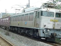 2019所用のついで貨物列車。ＥＦ８１－３０３を見に行こう！