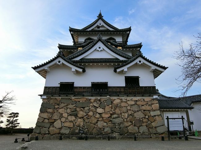 日本１００名城でもあり、現存１２天守でもあり、国宝でもある彦根城へ。