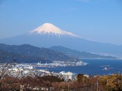 清水魚市場　河岸の市でマグロ三昧！日本平動物園のかわいいレッサーパンダ　日本平夢テラスから富士山を見よう