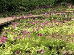 六甲高山植物園