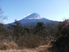 富士山の眺めと樹海を楽しむ足和田山ハイキング