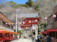 紀三井寺桜、みさき公園